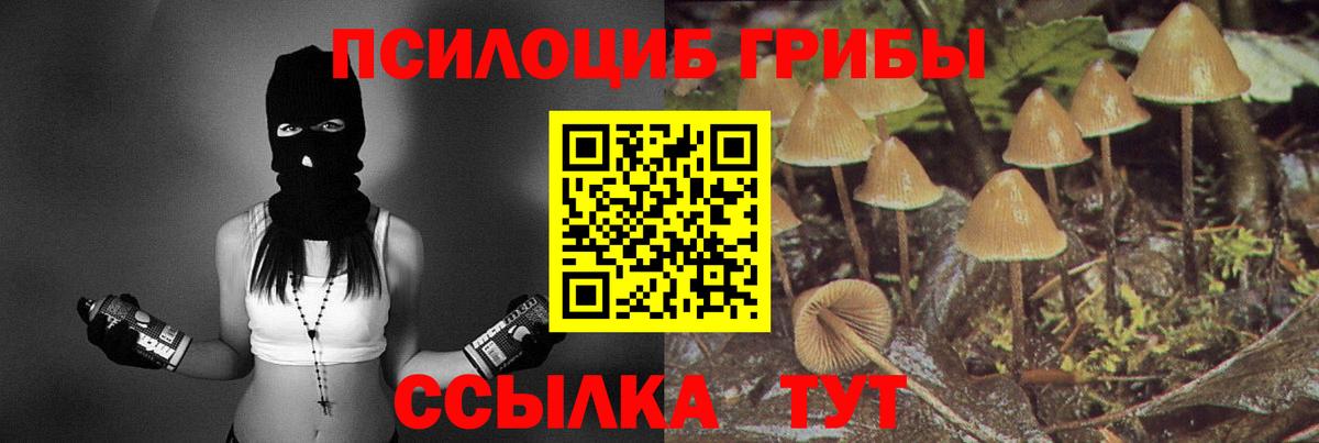 Туймазы  Галлюциногенные грибы Cubensis  Вход с VPN 